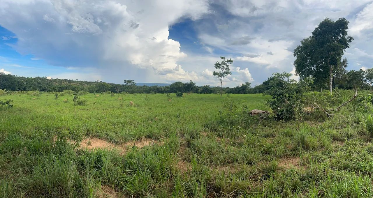 Vendo Fazenda  - Foto 5