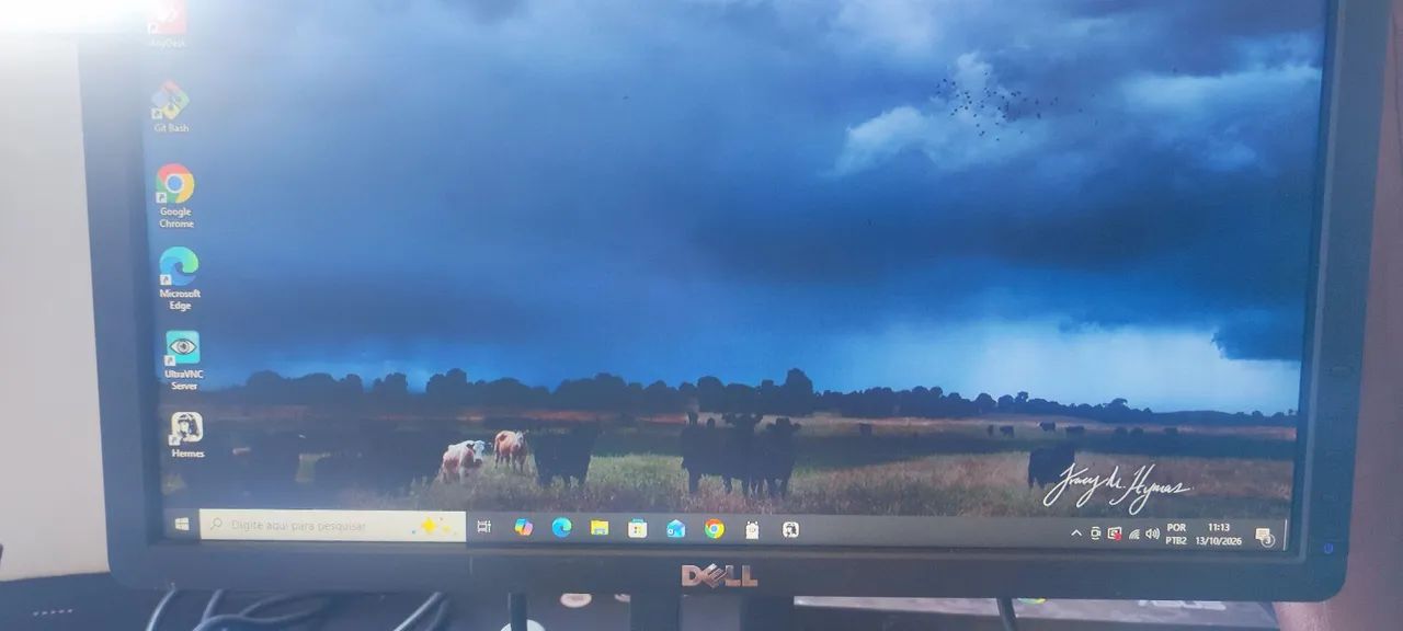 Monitor Dell