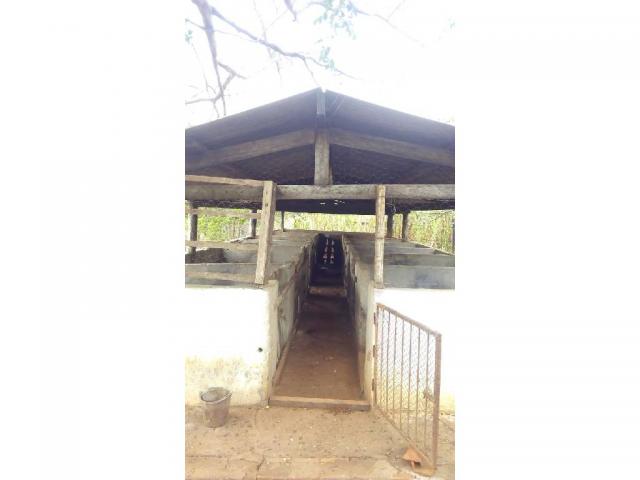 Chácara à venda em Zona rural, Pocone cod:20534 - Foto 8