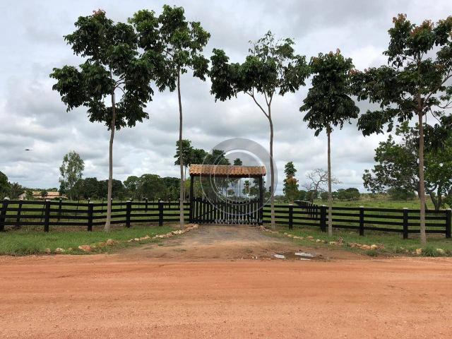 Fazenda 490 ha estrada de cáceres - Foto 8