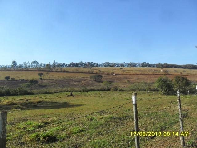 174B/ Belo haras de 12 ha pertinho da cidade de Entre Rios de Minas - Foto 11