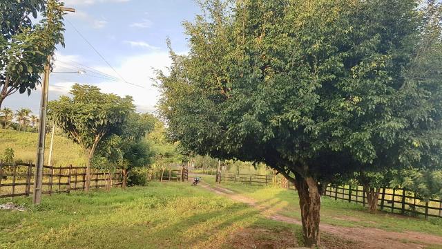 Fazenda com 430 hectares Proximo de Pedreiras - MA - Foto 2