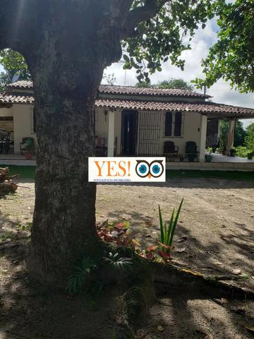 Linda Fazenda para Venda no Distrito de Pau Seco - Humildes - Área 95.832m² - Foto 3