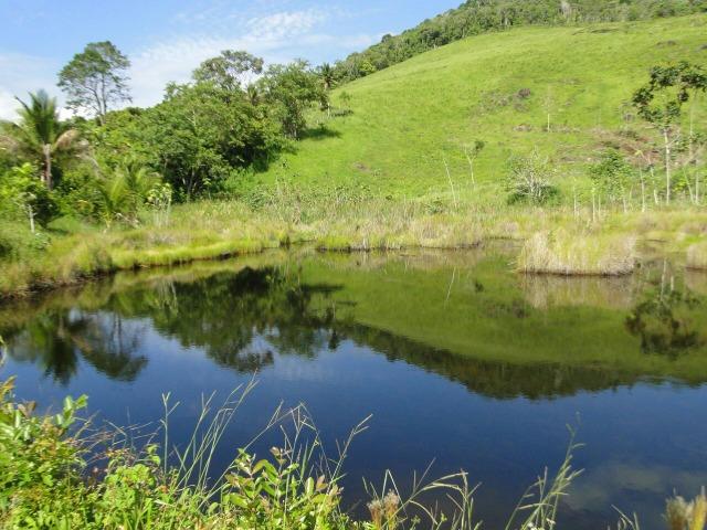 Vende fazenda de Cacau com 278 Ha - Camamu - BA - Foto 11