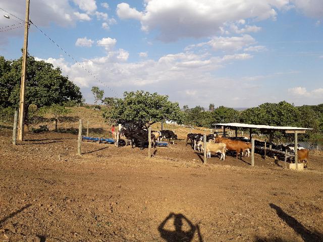 Fazenda à venda, por R$ 900.000.00 - Zona Rural - Luziânia/GO - Foto 15