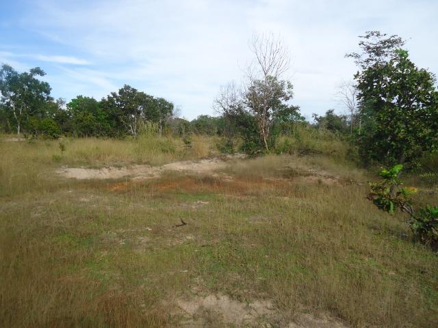 Fazenda em Monte do Carmo-To, 190ha - Foto 5