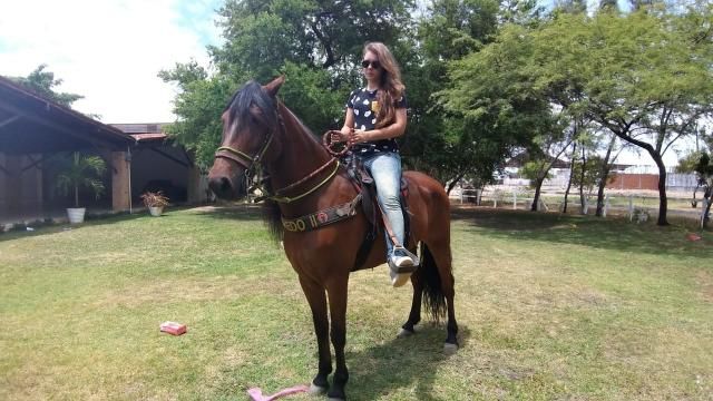 Cavalo Mangalarga Marchador
