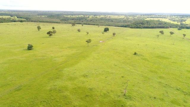 Fazenda em Campo Grande 4mil hectares!! - Foto 17
