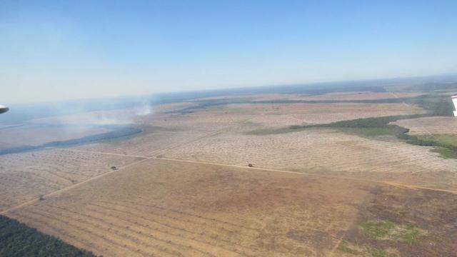 Fazenda em Balsas - Foto 8