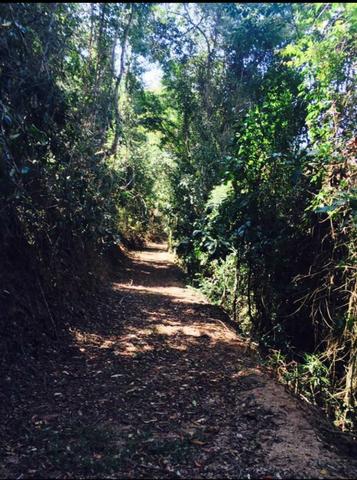 Sitio em Domingos Martins (Pedra Branca) - Foto 3