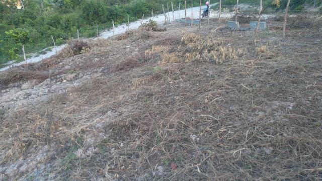 Vendo terreno - Foto 2