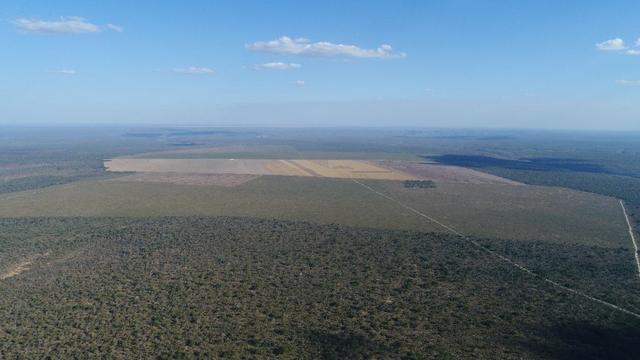 Fazenda em Balsas - Foto 3