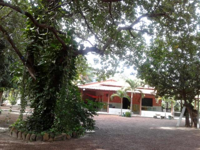 Fazenda as margem da BR 222 a 01 km de Batalha ? PI - Foto 10