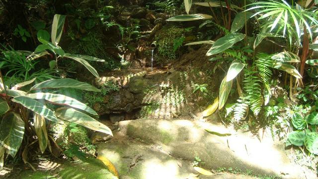 Sitio marechal floriano 2 hequitares - Foto 11