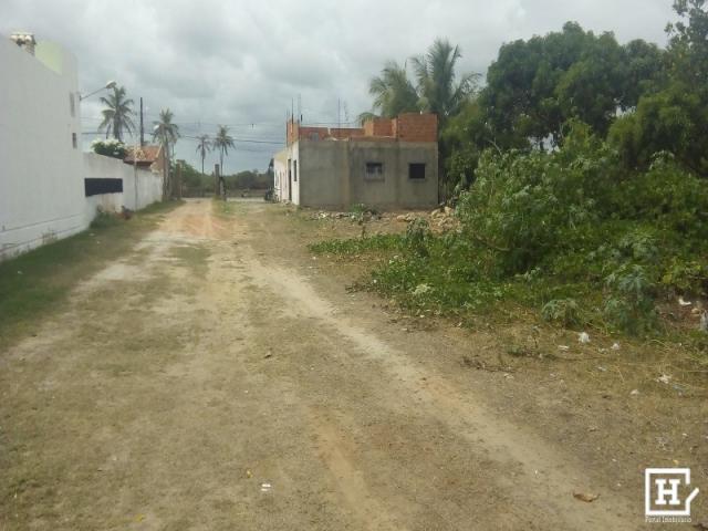 Sítio à venda - no mosqueiro - Foto 8