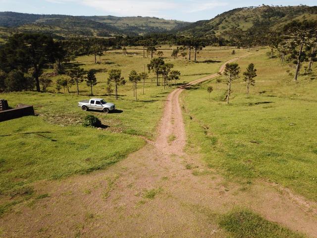 Fazenda Urubici/São joaquim - Foto 18