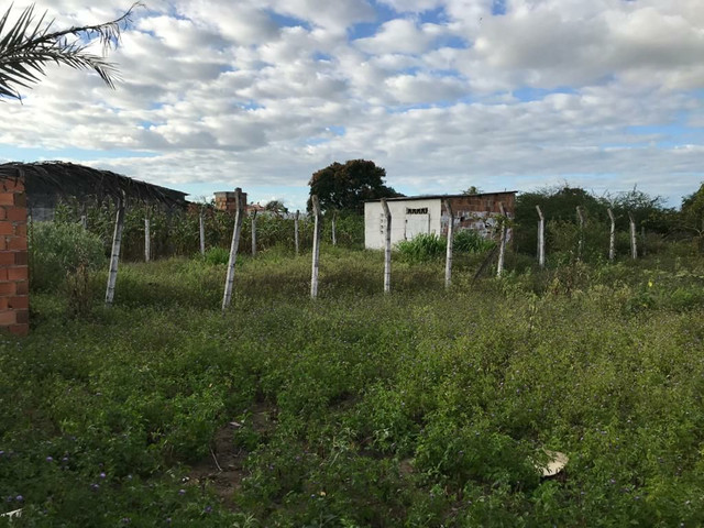 TERRENO 10×22 - Foto 3