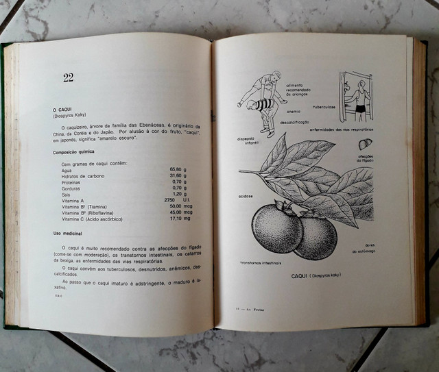 Livro As Frutas na Medicina Doméstica - A. Balbach - Foto 3