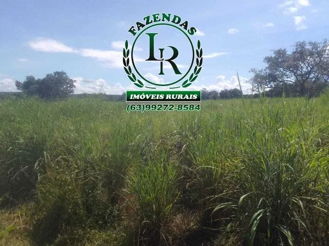 Fazenda 38,5 Alqueires Alqueires - Foto 5