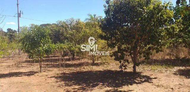 CHÁCARA 5MIL M² COM POÇO ARTESIANO - Foto 4