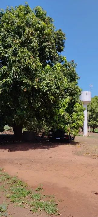 Sítio com 22.800m2 em Bady Bassitt  - Foto 4