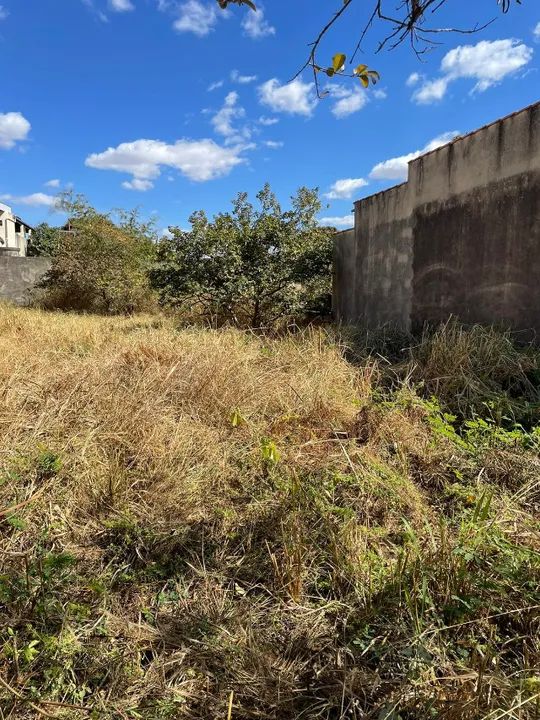 EXCELENTE LOTE PLANO DE 525 M2 NO BAIRRO PAULO VI - BH - Foto 8