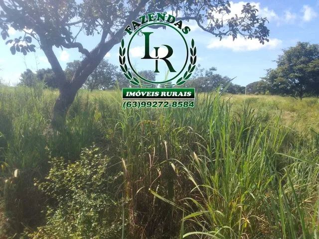 Fazenda 38,5 Alqueires Alqueires - Foto 3