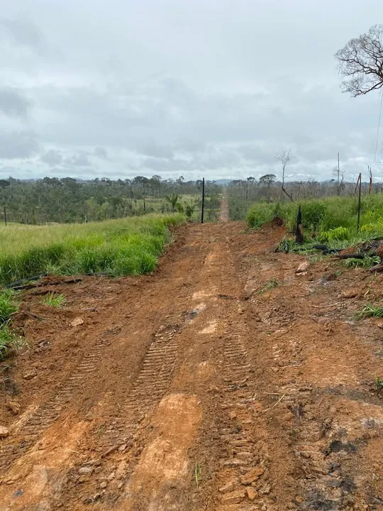 Fazenda 1.000 alq. Planta 900, 12 km da Br163 novo progresso MT. 32 milhões