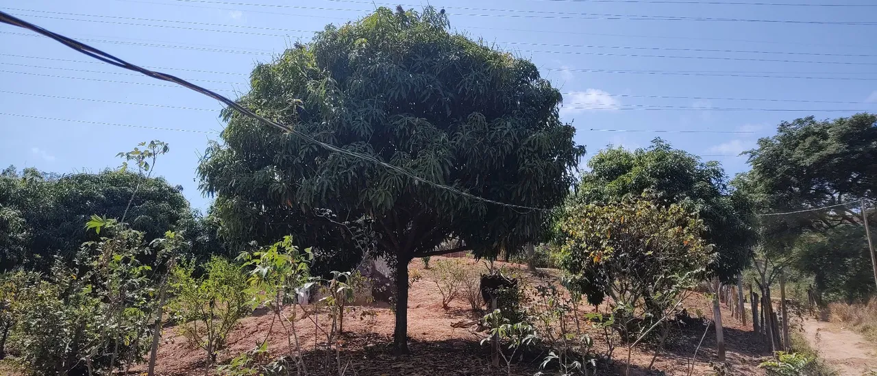 Lotes em Sabará 