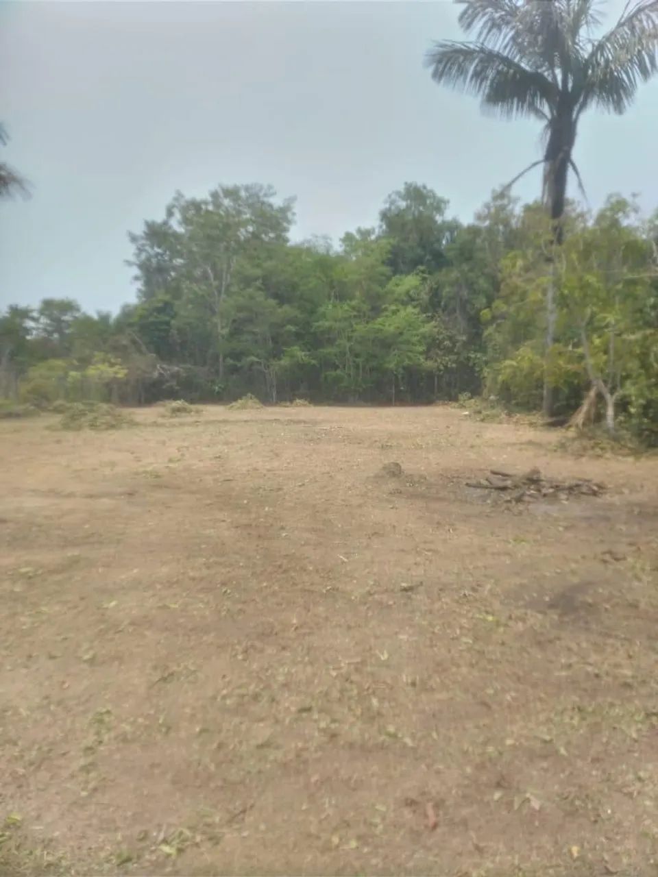 Terreno em área verde com árvores - Foto 5