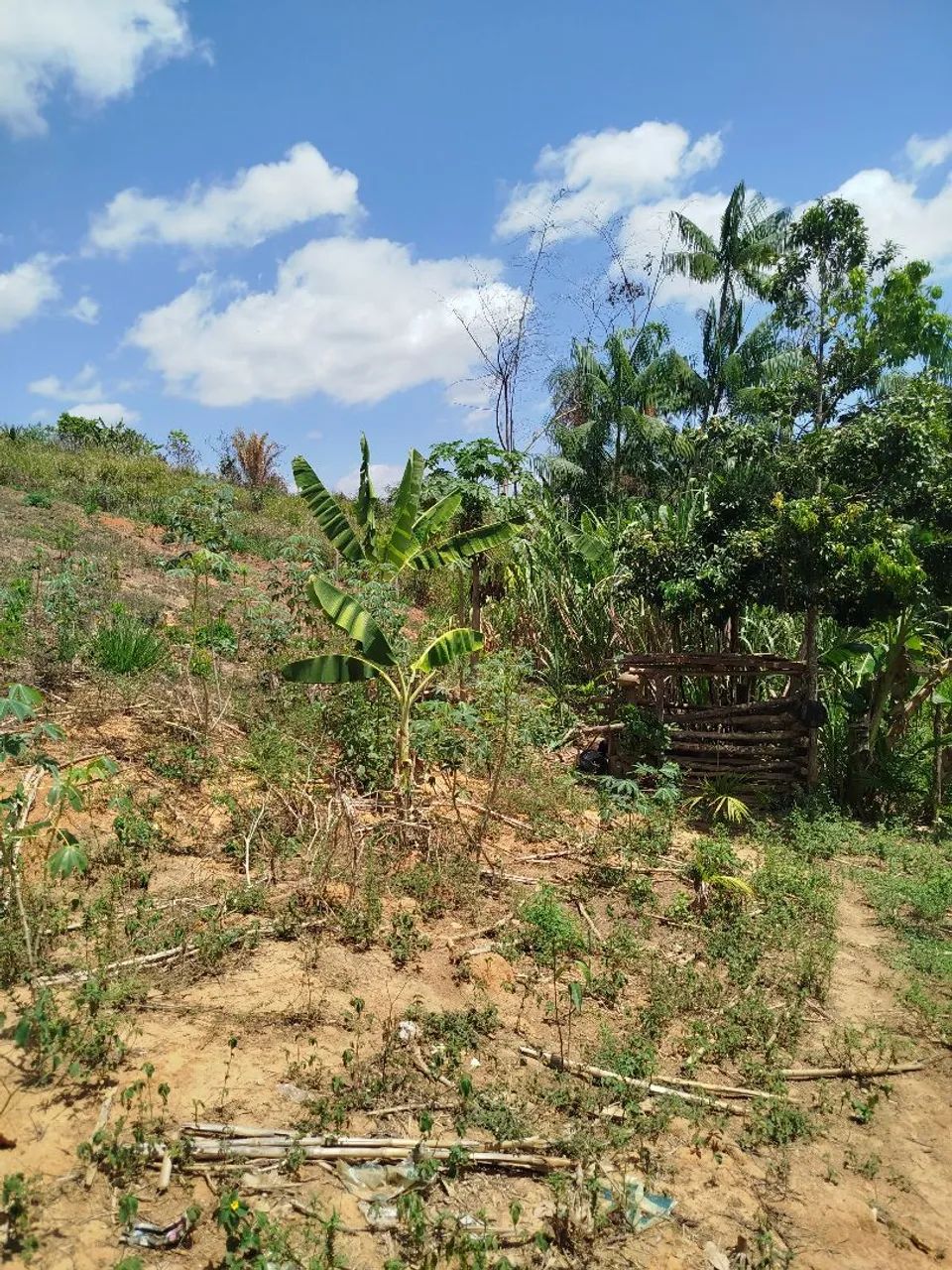 Chácara com Poço e energia  - Foto 9