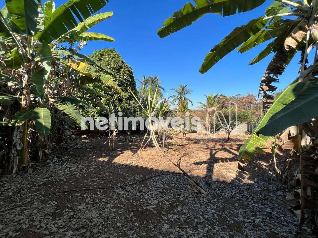 Venda Lote-Área-Terreno Braúnas Belo Horizonte