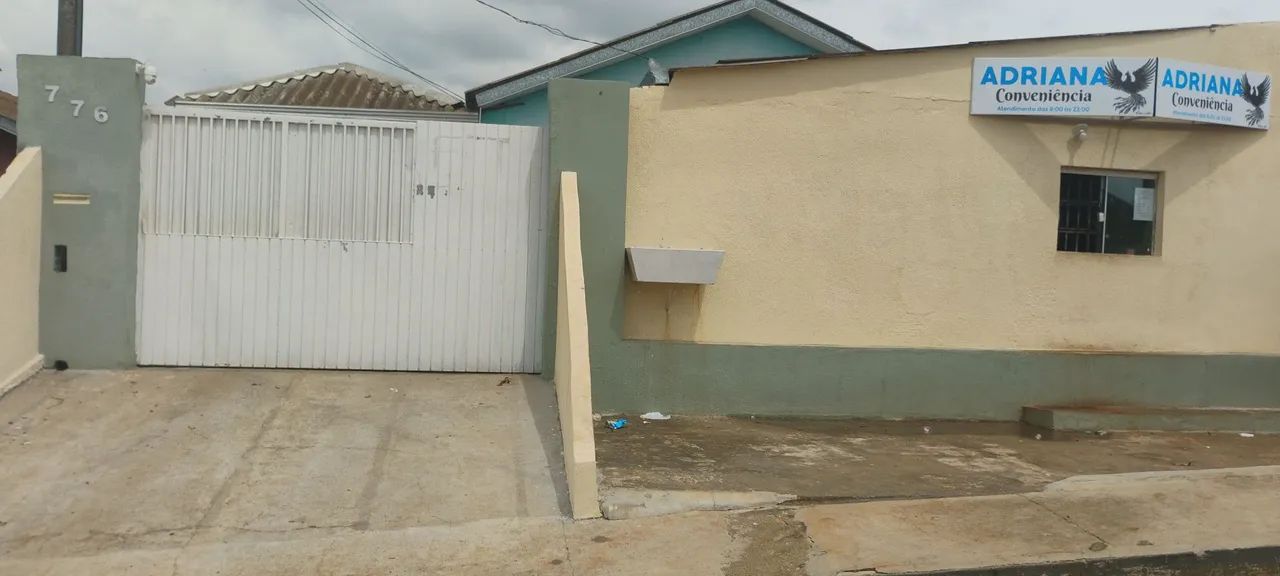 Foto - Ponta Grossa - Cará-cará