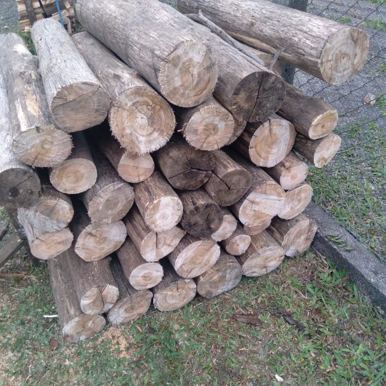 Lenha para lareira e costela de chão  - Foto 2