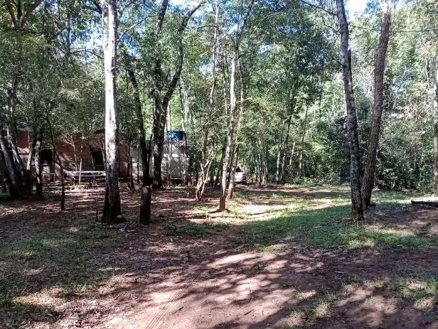 Pesqueiro 