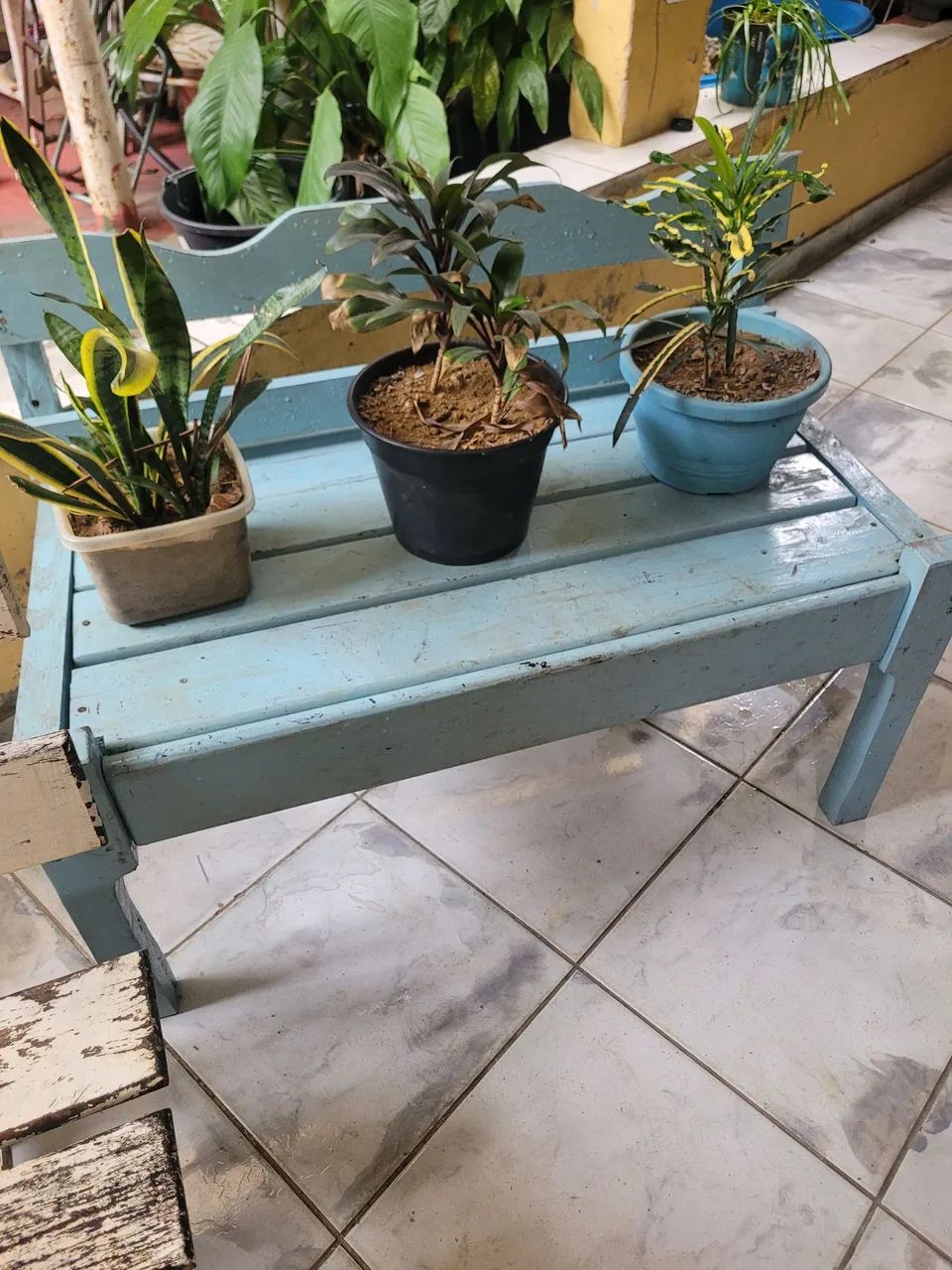 Bancos de Madeira Rústicos para Jardim: - Foto 5