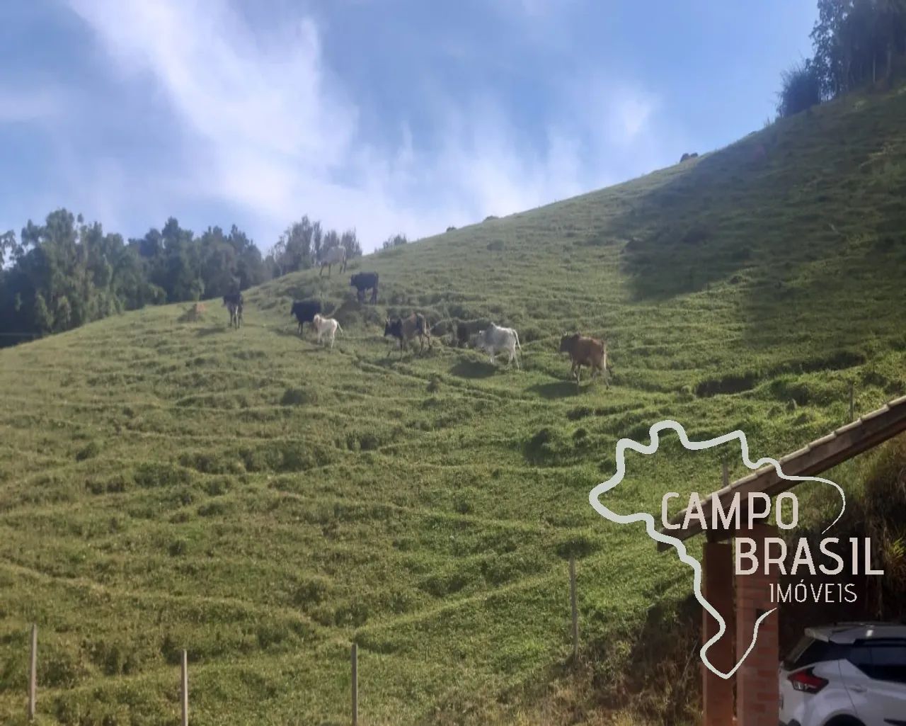 LINDO SITIO 41.000 M² EM JOANÓPOLIS! - Foto 5