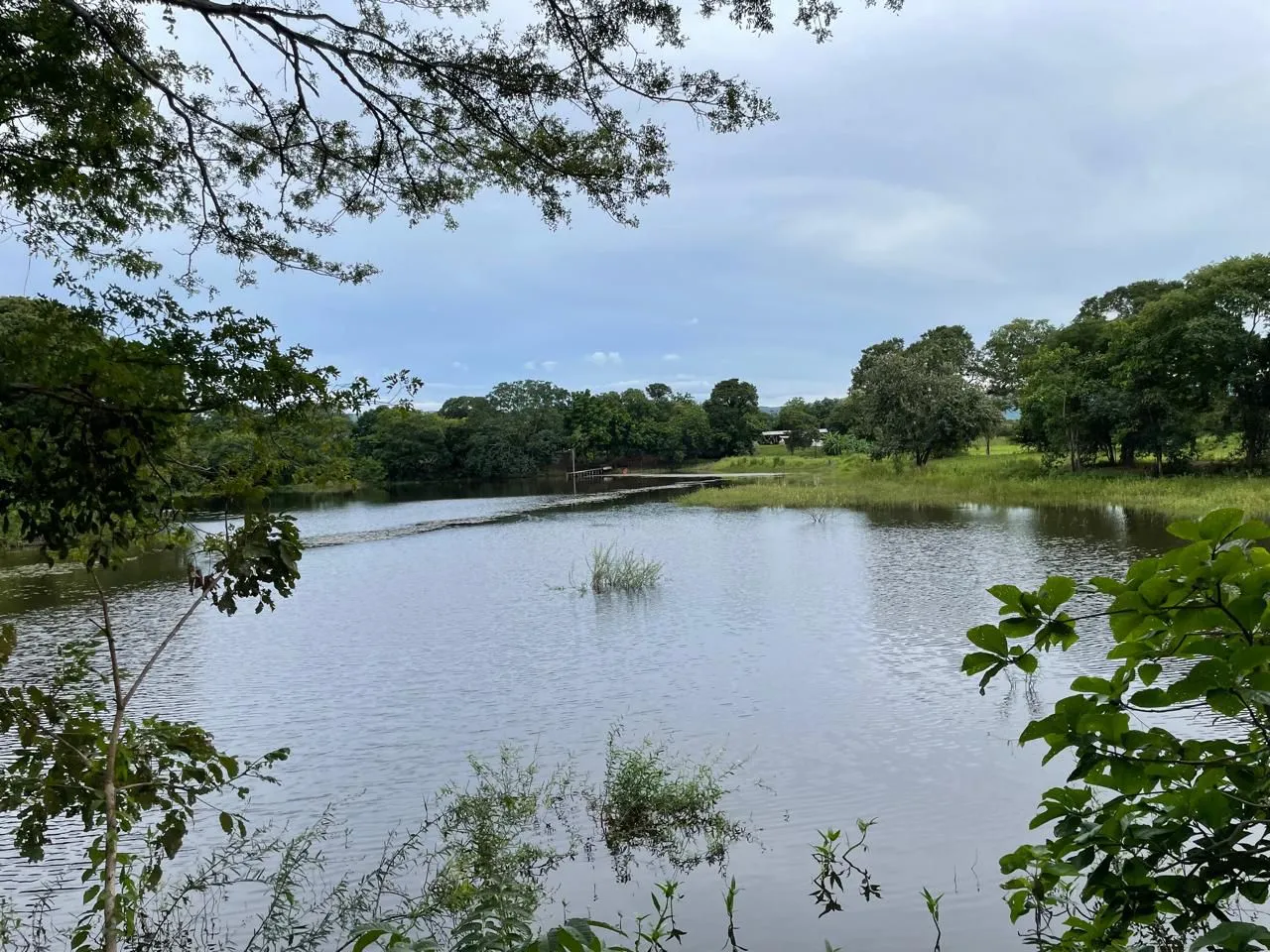 Fazenda região de Formosa Go