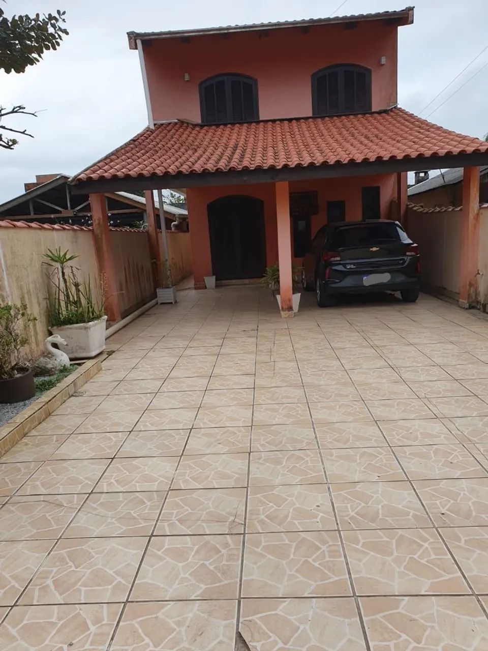 Foto - Araucária - Sabiá