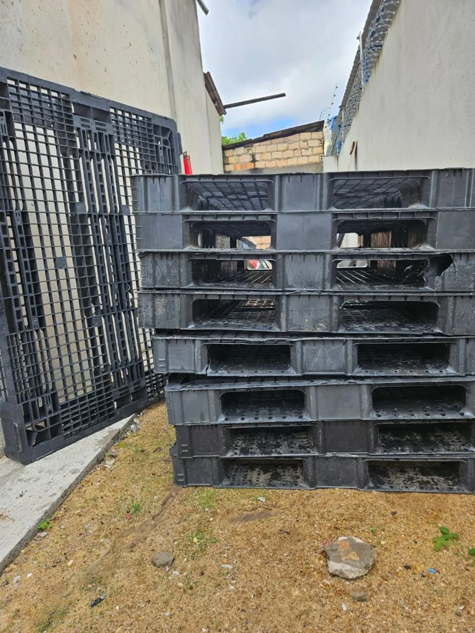 Paletes Plásticos