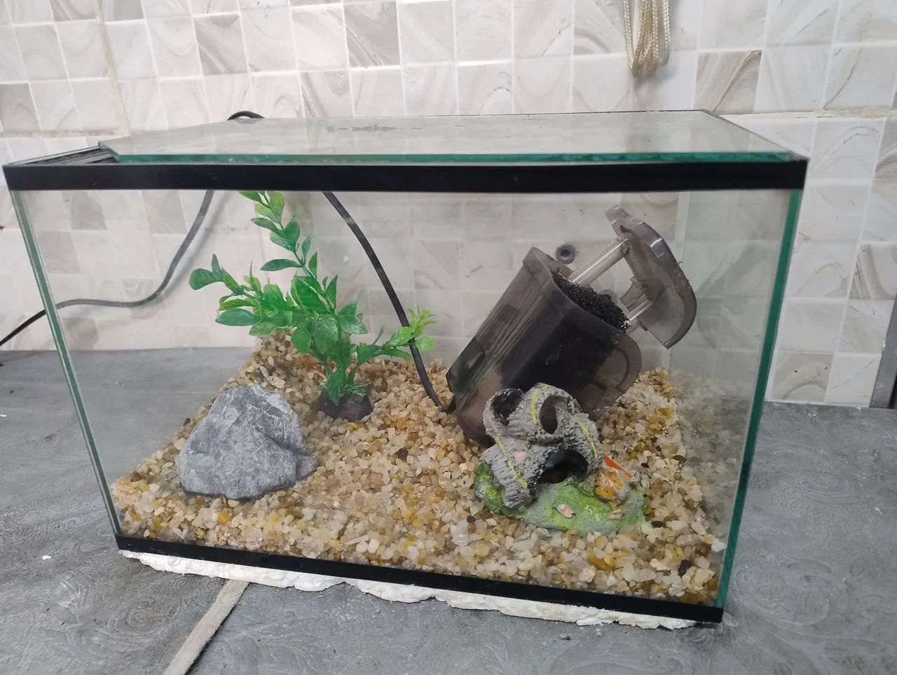 Aquário de vidro completo 25L