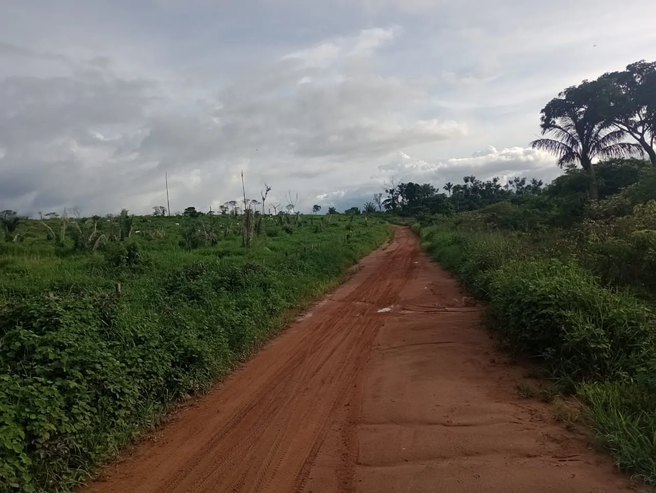 Fazenda 1.,035hec 730 aberto em pasto, região creporezinho no Pará. 5.500.000