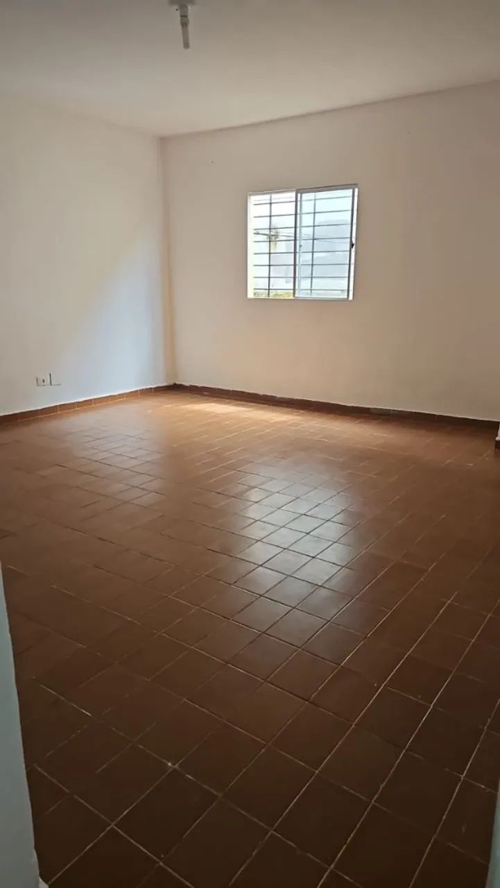 Foto - Paulista - Pau Amarelo