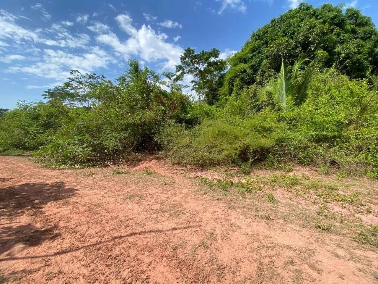 Terreno - venda - Foto 3