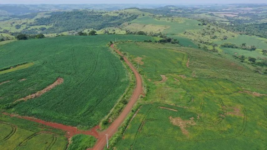 Fazenda lavoura/pecuária