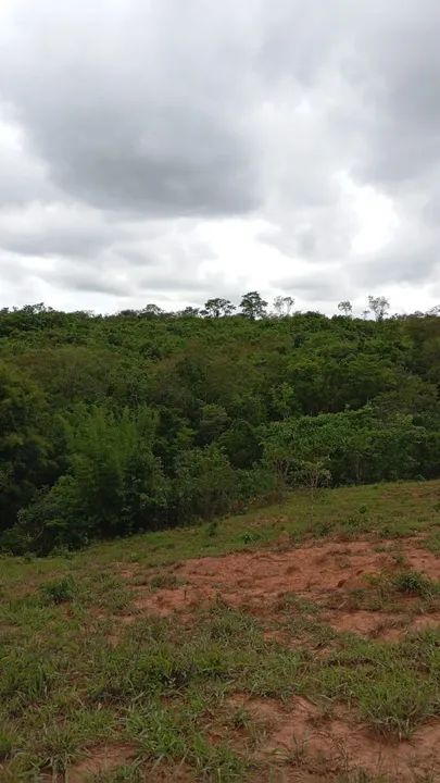 foto - Belo Horizonte - Camargos