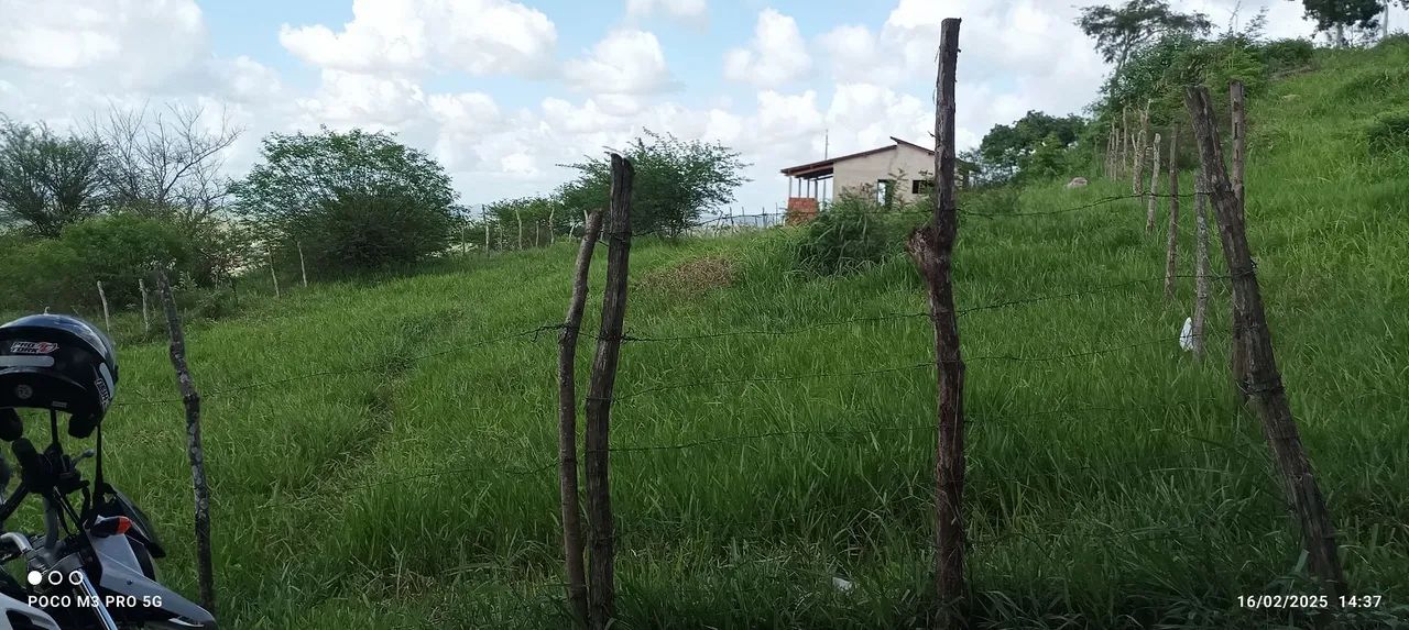 Terreno em Gravatá  - Foto 4