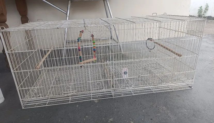 Gaiola  - Foto 4