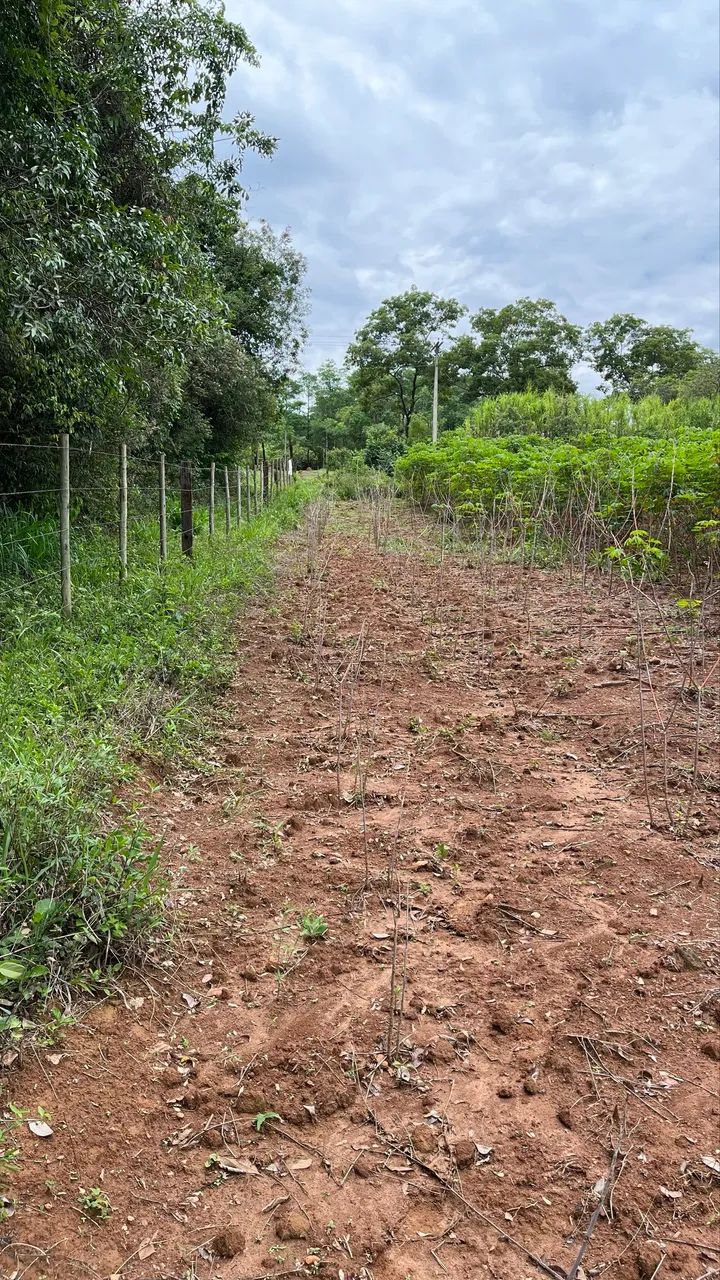 Chácara a venda perto de Moeda/MG - Foto 2