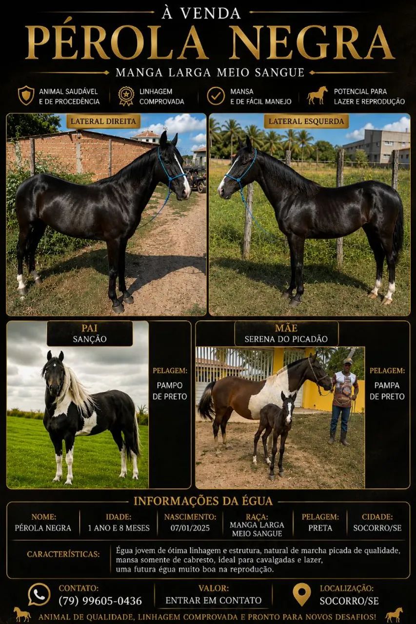 Vendo Linda Poltra Preta.